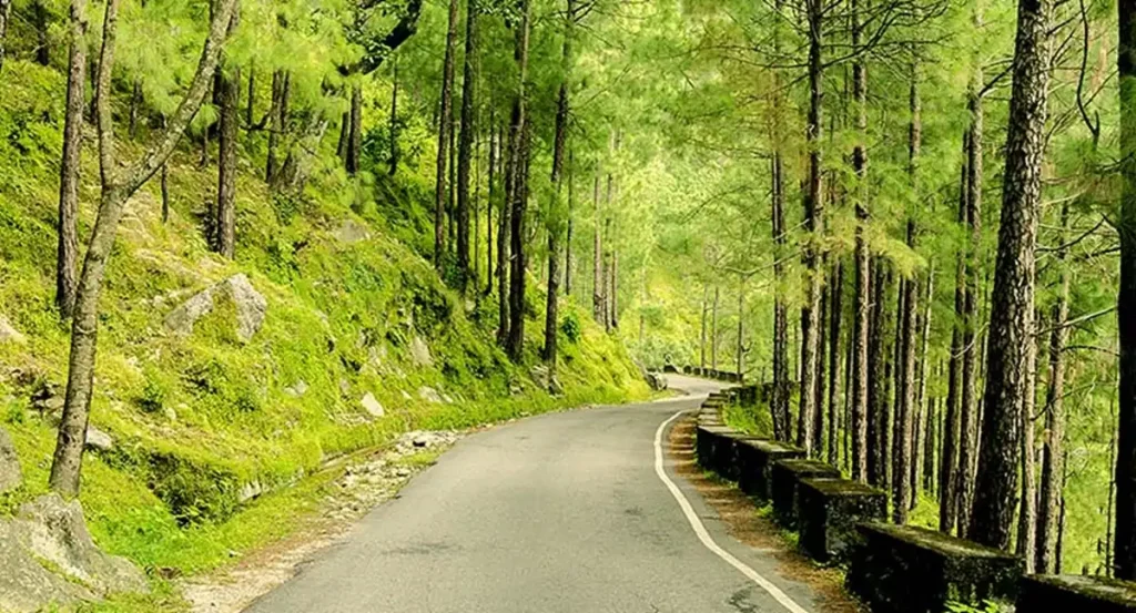 5 Beautiful Getaways Just a Stone's Throw from Delhi 4 Lansdowne