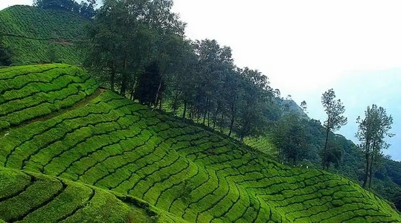 7 Best Places to Visit in Summer in India 5 7 Best Places to Visit in Summer in India