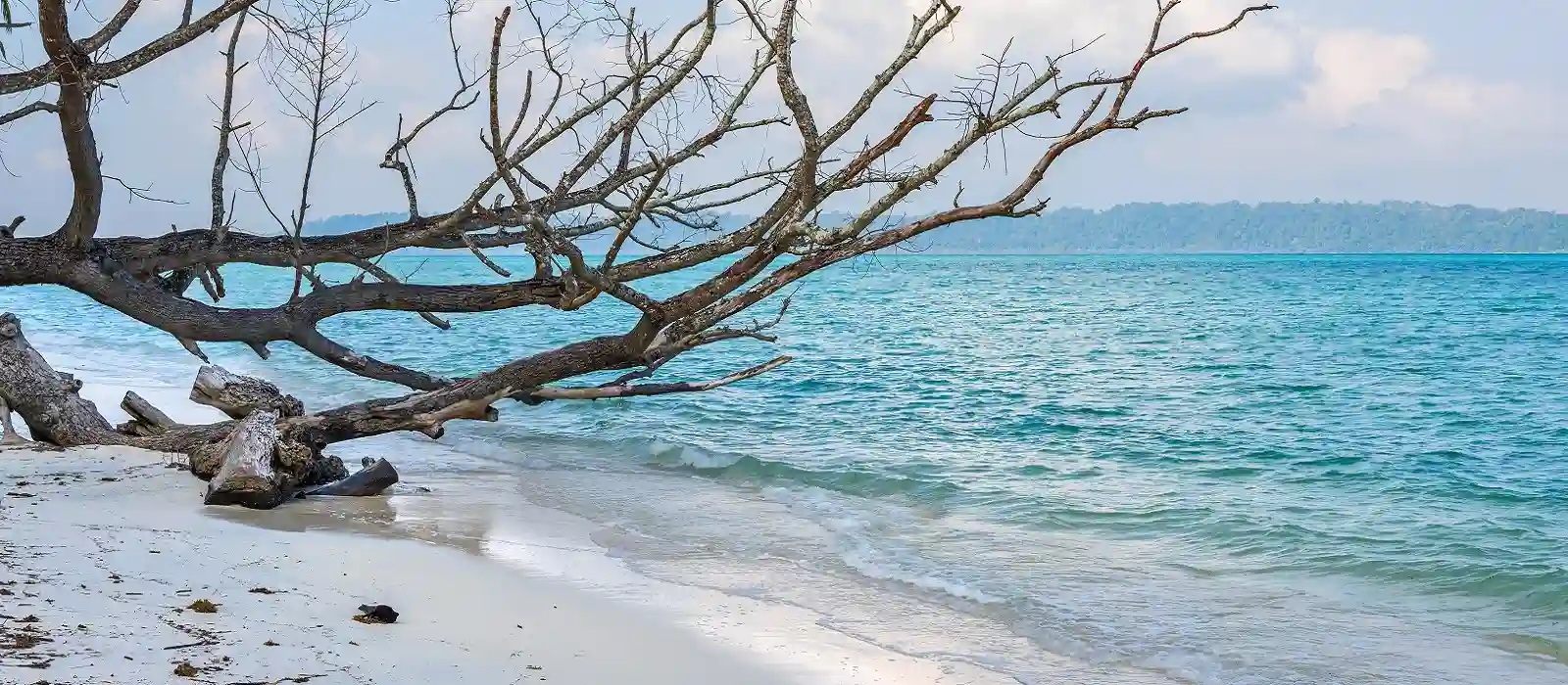 Andaman Islands Tourism